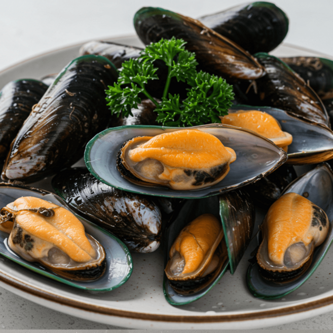 푸른마을 제철 통영 생 햇 홍합 산지직송 통통한 홍합, 1박스, 햇 홍합 3kg