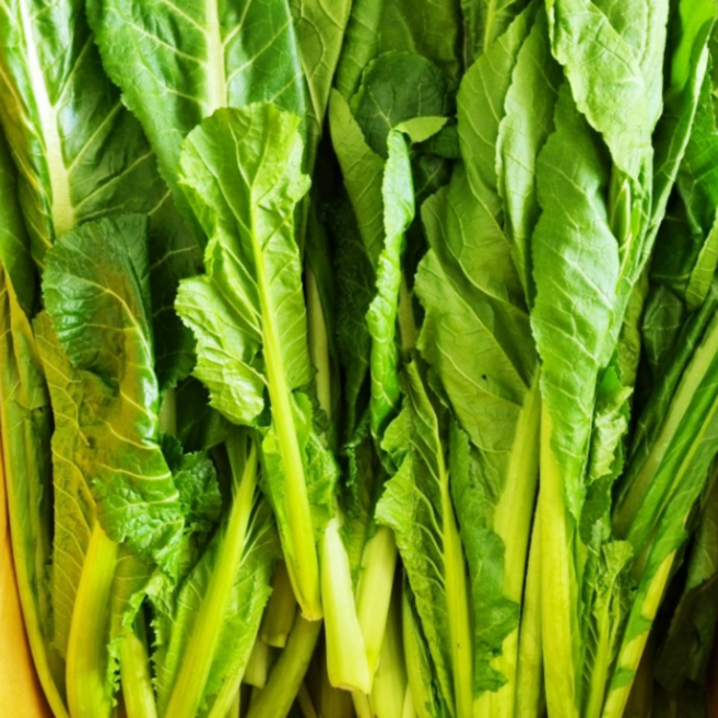 여수돌산갓 청갓 생갓 산지직송 신선한 돌산갓 갓 김치 재료 Fresh leaf mustard, 5kg, 1개