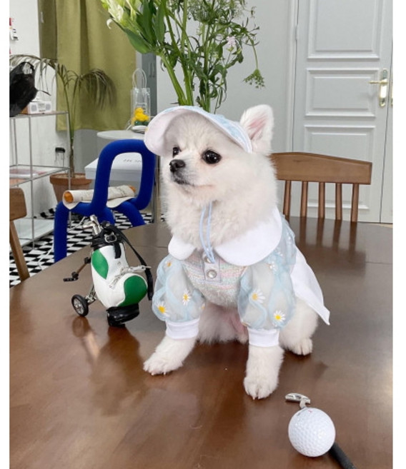 데이지 골프 원피스 강아지 고양이 대형견 애견 반려견 포메 비숑 옷 의류 XS 드레스 펫피크닉(Aura Blue), S, 1개