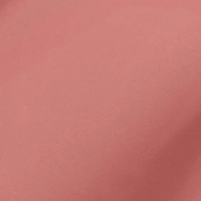 Covergirl Outlast 올데이 립 컬러 모이스처라이징 탑코트 뉴트럴 쉐이드 컬렉션 도자기 1팩 163022, 120 더스티 블러쉬 - 쿠팡