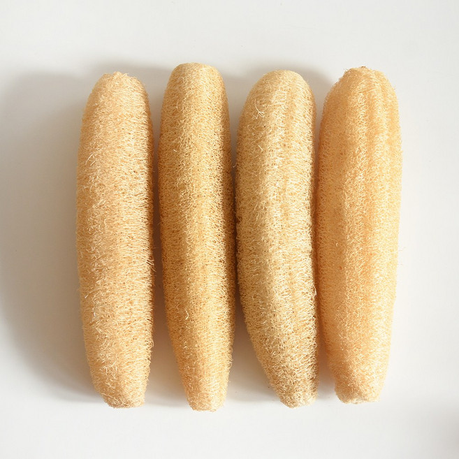 장수 통통한 천연수세미 4size 제로웨이스트 설거지 식물 열매, 1개, 1개