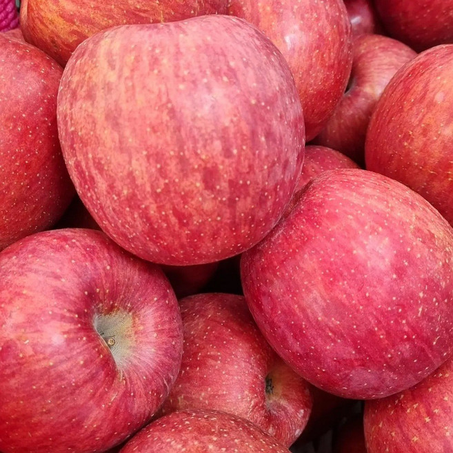 [쫑말이네농장]꿀부사 /(상품/흠과)/13브릭스이상 개별측정/당도보장/2.5kg 5kg, 1박스, 꿀부사