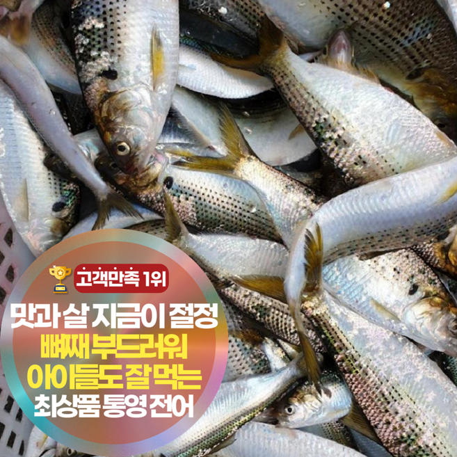 전어회 완벽 가이드 — 선택 방법부터 주의사항까지