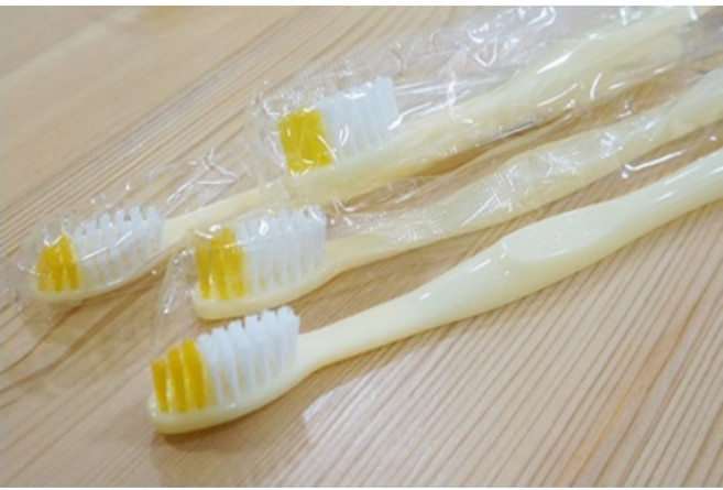 바른유통 (실속형)프리미엄 일회용 칫솔(100개)1개, 1000개입, 1개