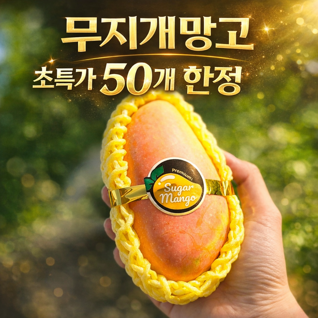 [항공직송] 태국 마하차녹 무지개망고 고당도 망고, 1박스, 1kg (3과 내외)