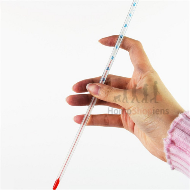 쇼피엔스 유리 막대 온도계 수은유리막대온도계, 1개