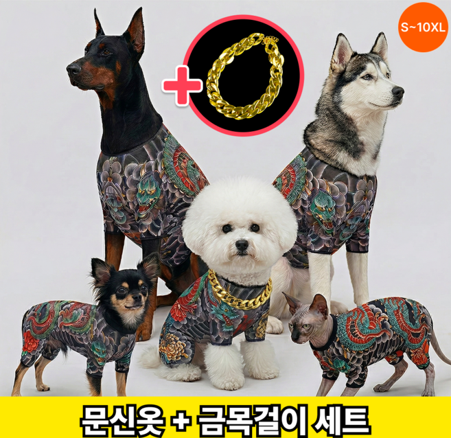 런앤온 반려동물 문신옷 타투 올인원 골드체인 2종 세트, 1개, 개레즈미