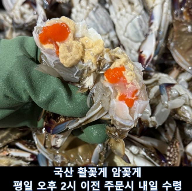 [태안 신진도] 알배기 암꽃게 kg당 4-6미 명품 활꽃게, 1개, 1kg