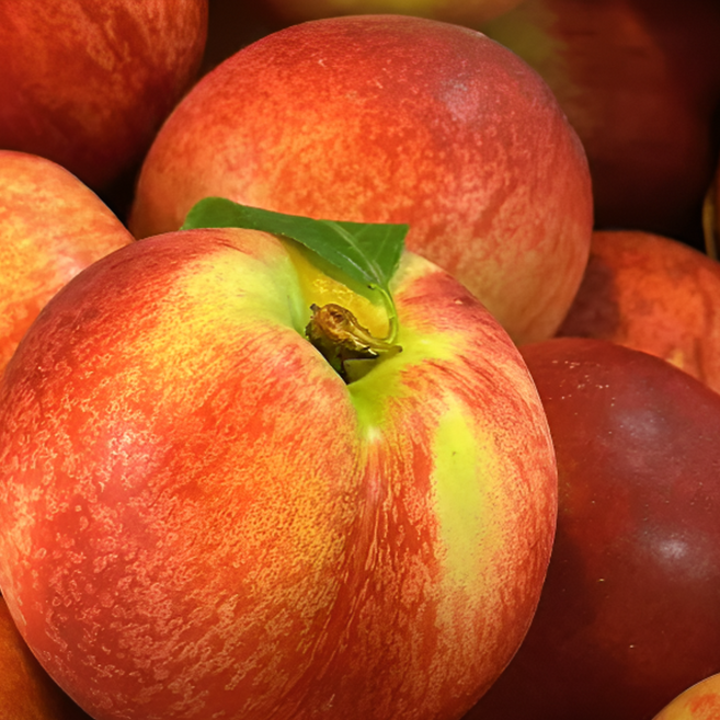 제철맞이 고당도 산지직송 여름과일 신비복숭아, 1개, 1kg (중)