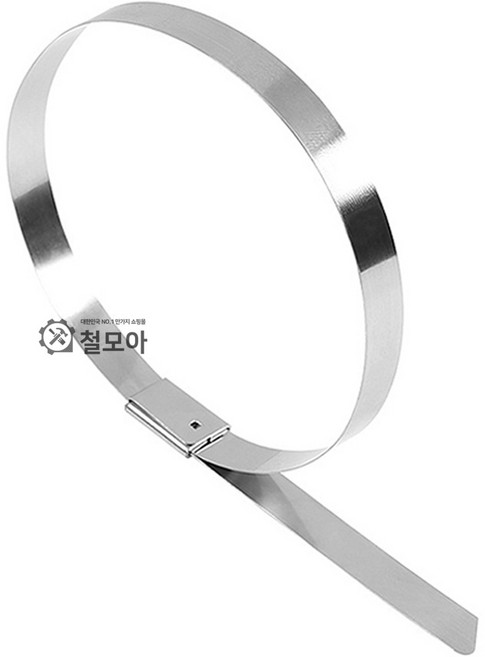 스텐 케이블타이 철타이 메탈 철제 스틸 서스 스테인리스 고강도 전선정리 스텐타이 낱개 1개판매, 1개, 실버