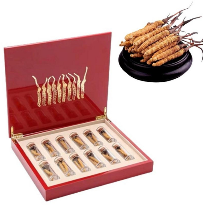 동충하초 30개 10g 건초 버섯 동충화초 건강선물 추석선물세트 건조 명절선물 면역강화