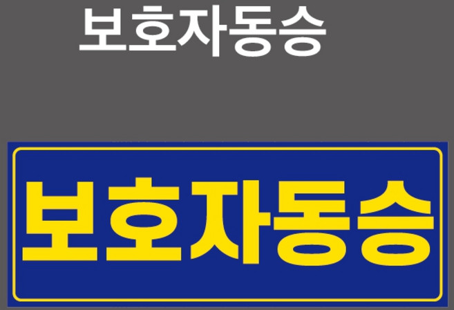 제이엔솔루션 보호자동승 스티커 자석스티커 400x150mm (보호자동승 CPM002), 1개입