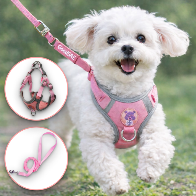 굿새로이 강아지 베이직 H형 야광반사 하네스 리드줄, 1개, 핑크