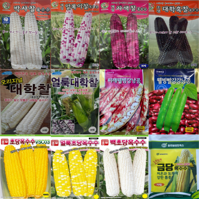 옥수수 호박 여주 국산콩 씨앗 모음 50종 재래종 토종 곡물 곡식 종자 완두 초당 괴산, 31.세계땅콩호박10립, 1개