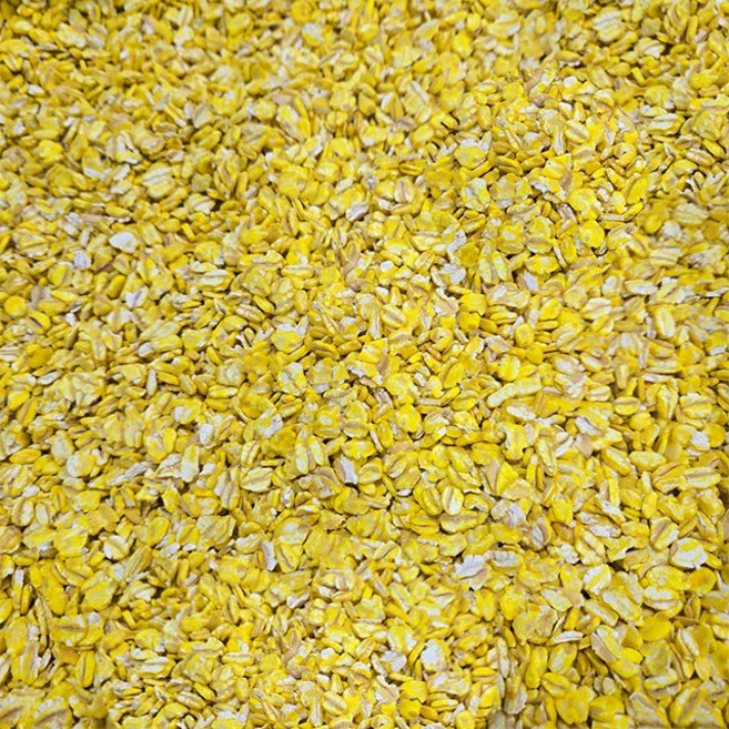 황금보리 압맥 25KG 1포대 대용량 노란압맥 감성돔 바다낚시 집어제 미끼, 1개