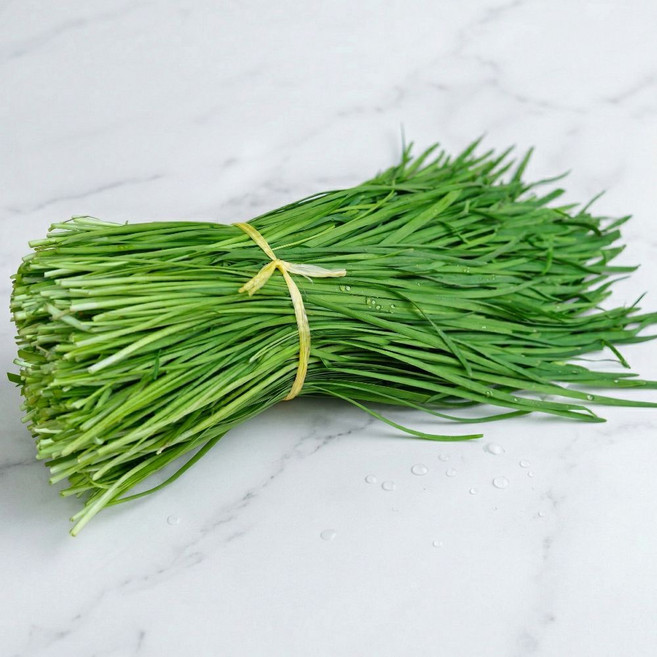 [맛통령] 국내산 싱싱한 부추, 1kg, 1개