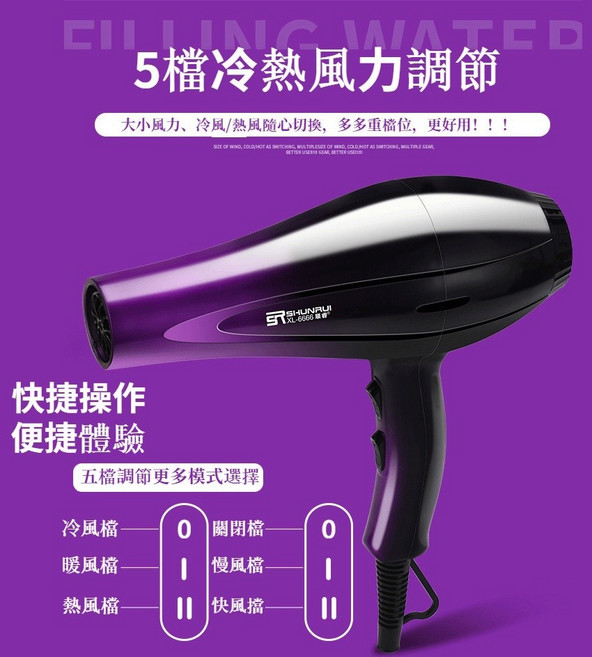 順睿SHUNRUI XL-6666 吹風機 五檔冷熱風調節 高密度濾網 便攜掛鉤設計, 黑色, 579
