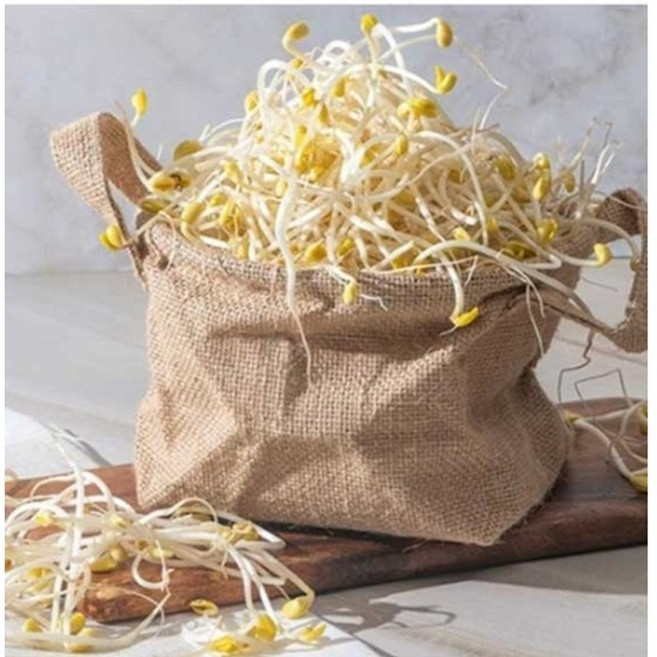[원푸드]무농약 콩나물 1kg