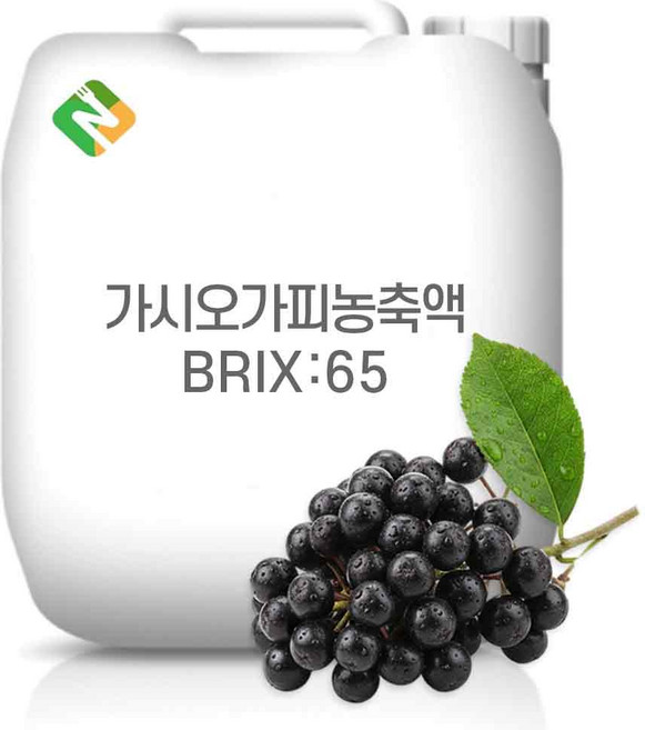 가시오가피농축액 65Brix 20kg, 단품, 1개