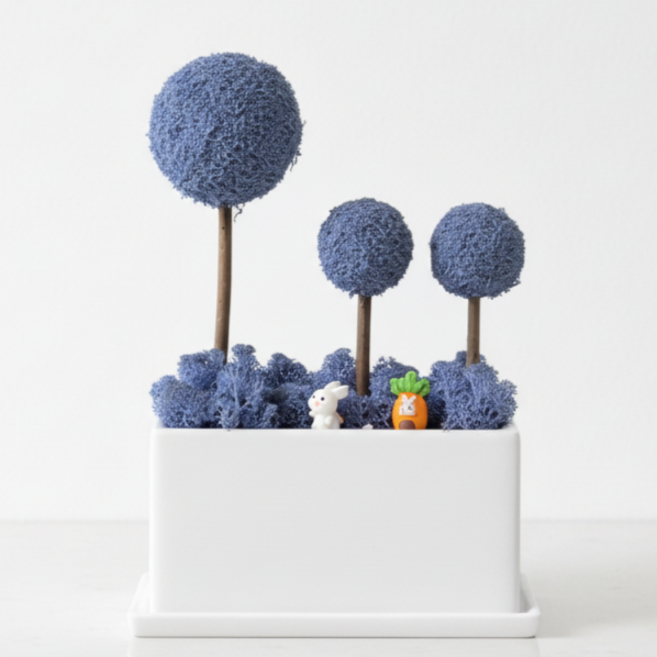 스칸디아모스 3구 개업선물 집들이선물 빅플랜트 화분 식물, 1개, 라벤더 블루