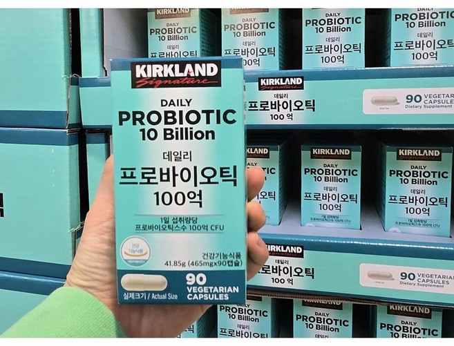 Kirkland Signature 커클랜드 데일리 프로바이오틱 100억 슐, 1개, 90정