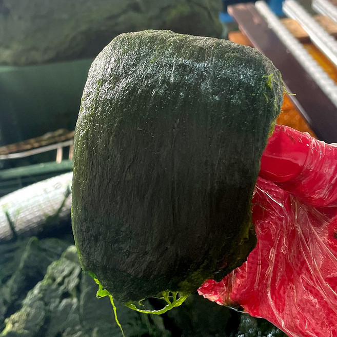 해농 햇 찰매생이, 380g, 10개