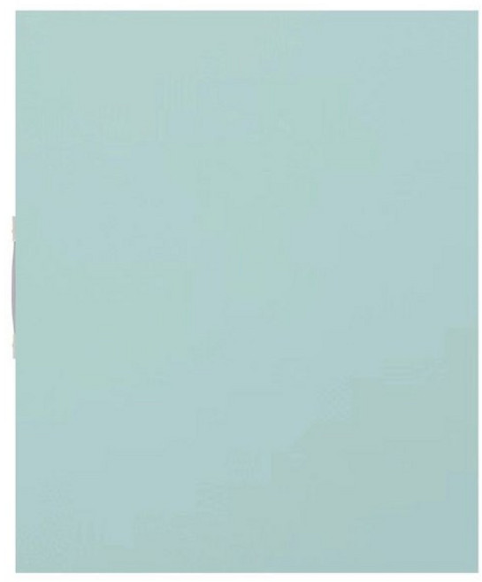 클리어화일 포스터 대형 그림종이 도화지 화일 종이, 1개, A1 40장 12색 가능 58x79CM