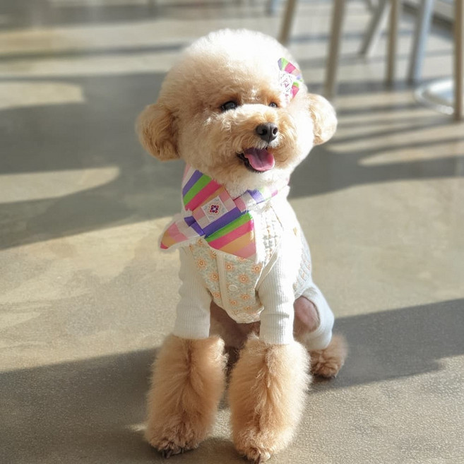 경복궁 설날 (춘향핑크) 강아지 고양이 한복목도리 추석 설날 한복용품, 상세 설명 참조, 핑크계열