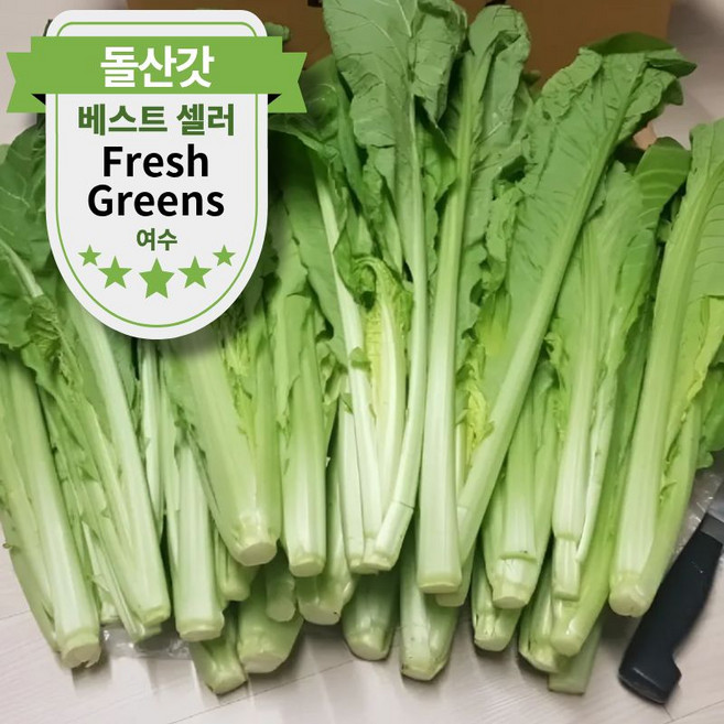 농가직송 여수 생갓 돌산갓 청갓, 1박스, 3kg