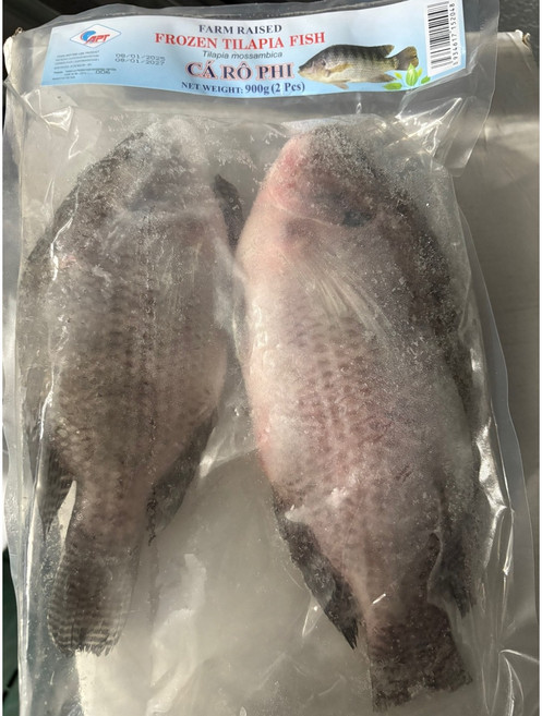 블랙틸라피아 2미 tilapia fish carophi 2p, 1개, 900g