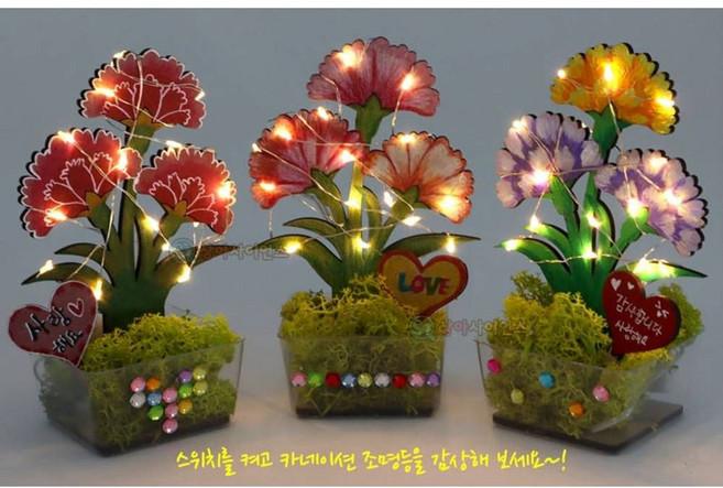 공기정화 카네이션 조명등 (1인) 어버이날 스승의날 diy 만들기 키트 교구 단체 부모님 선물 선생님선물, 단품