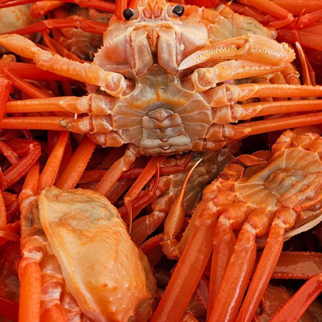 GH2603 박달홍게 B급 자숙전중량 3kg, 1개