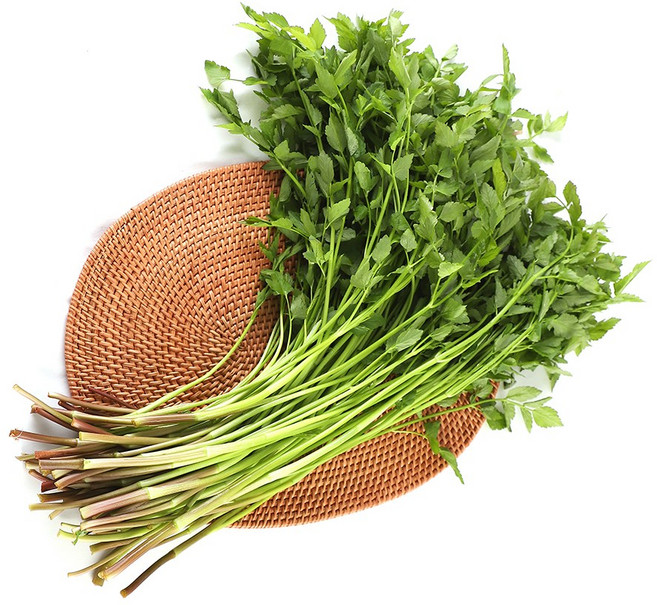 향긋한 청도미나리, 1세트, 1kg