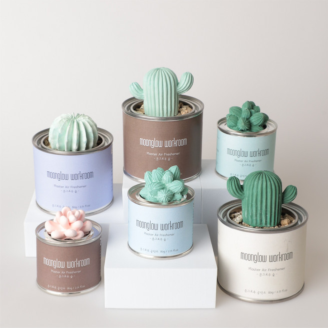 문그로우공작소 선인장 석고방향제 세트 (선인장 2P + 향료100ml), 1개, 100ml, 03. 도손 (원형)