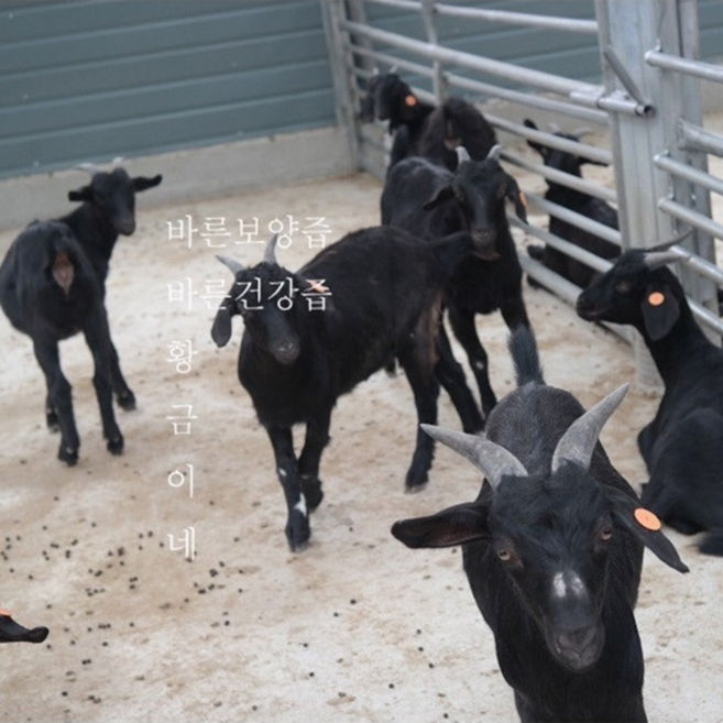 왕들의 보약 흑염소즙 1박스, 흑염소진액100ml30포