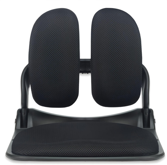 체어클럽 이편한 접이식 듀얼 좌식의자, 블랙