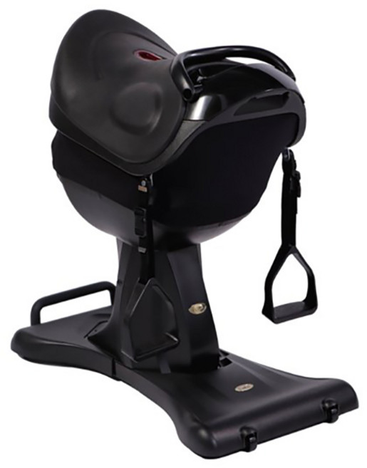 케겔운동 승마운동 TV VR 연동 어트랙션TVR프리미엄, 1개