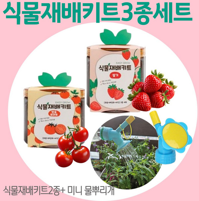 두루살림 [딸기재배키트+토마토재배키트 +미니페트병물조리개] 식물키우기세트