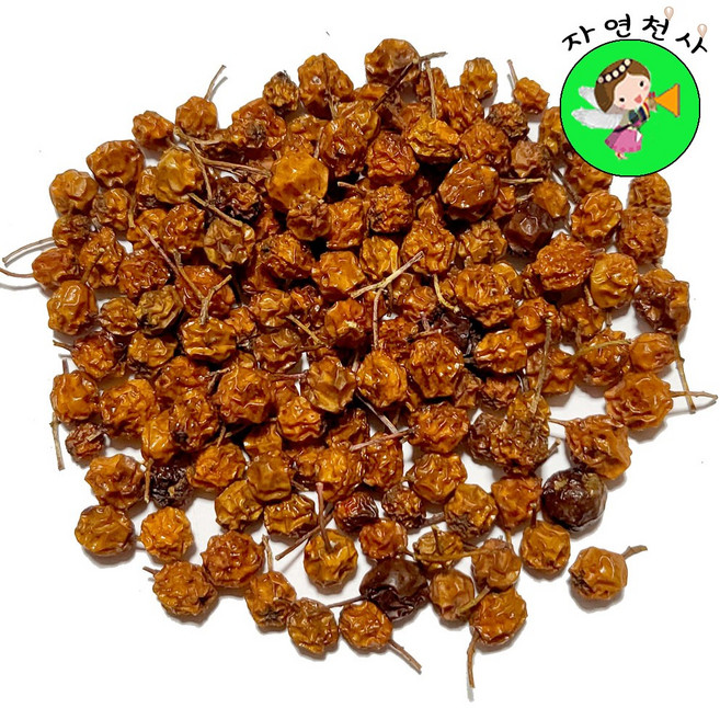 국산 야생 자연산 마가목열매 300g 직접채취 2025년 햇제품, 1개