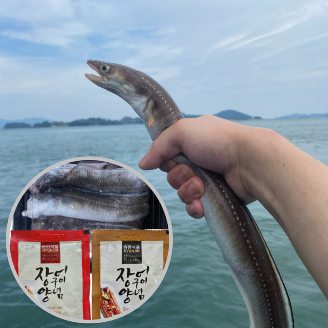 [산지직송] 통영 장어 자연산 손질 바다장어 대짜 1 ~ 3미 + 소스 2종, 1개, 대 1kg(1~3미)