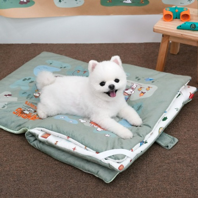 피너츠비글스카우트북매트(강아지 사계절 매트) 강아지 방석 쿠션 카시트, 화이트, 1개