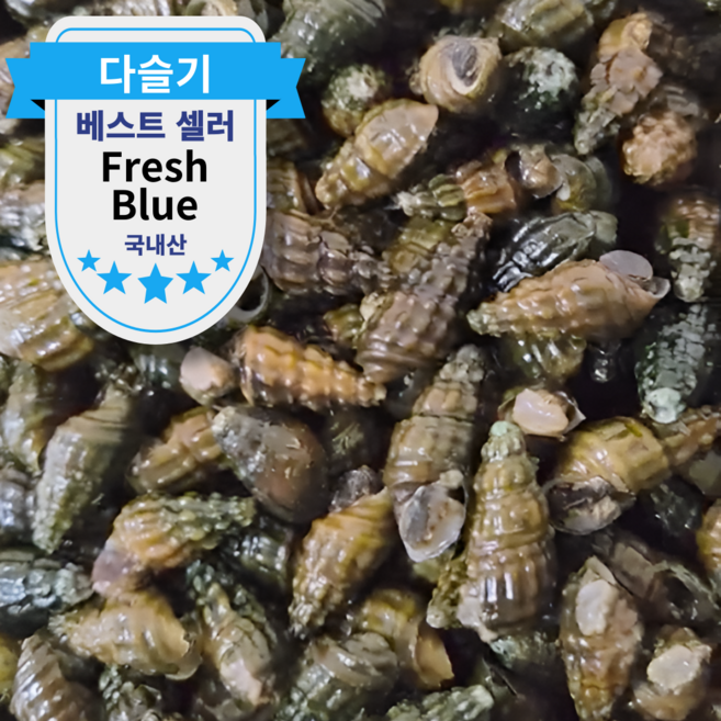 국내산 생다슬기 청정 자연산 올갱이, 1박스, 중 1kg