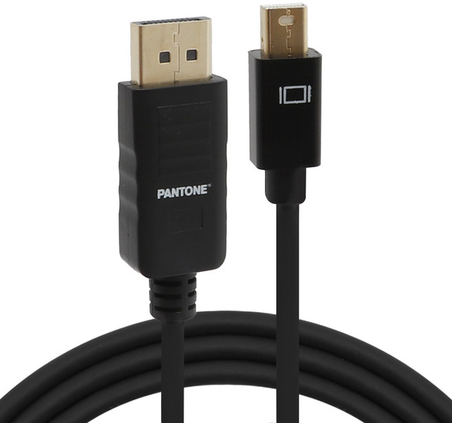 팬톤 미니 DP to DP 케이블, 3m, 1개