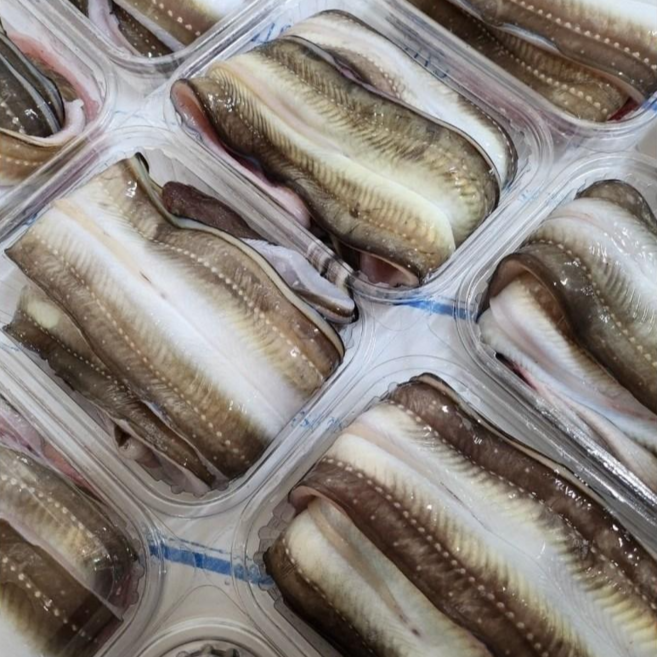 자연산 통영 바다장어 1kg 2kg 4kg 행사중, 1개