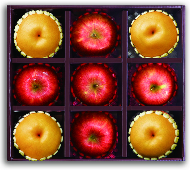 프리미엄 최상급 사과 배 혼합세트 제수용 과일 제사 신고배 설 추석 선물용 세트 3.6kg ~ 5.4kg, 1박스, 4.2kg(사과5+배4)