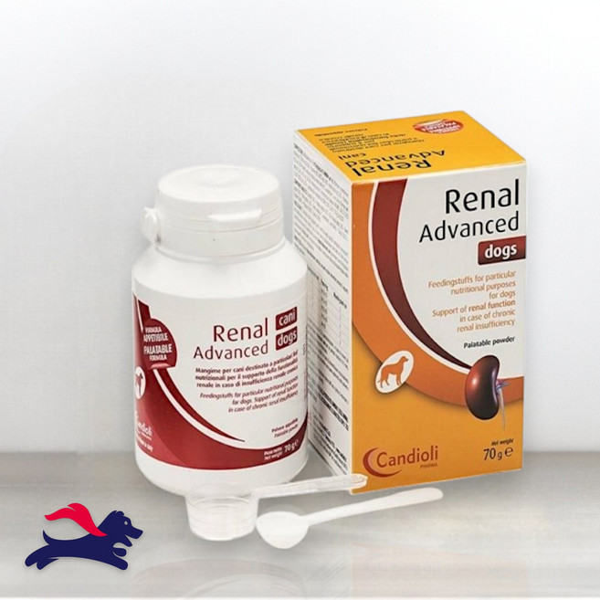 칸디올리 독스 영양제, 1개, 70g, 신장