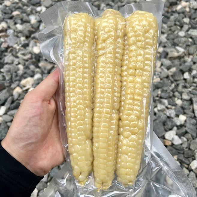 25년 햇 국내산 100% 괴산 대학 찰옥수수 미백 찐 삶은 냉동 옥수수 15cm이상 1박스, 30개