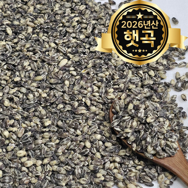 힘찬농부오달봉 국산 흑보리 흑보리쌀 검정보리쌀 26년산, 1개, 10kg(5kg 2봉)