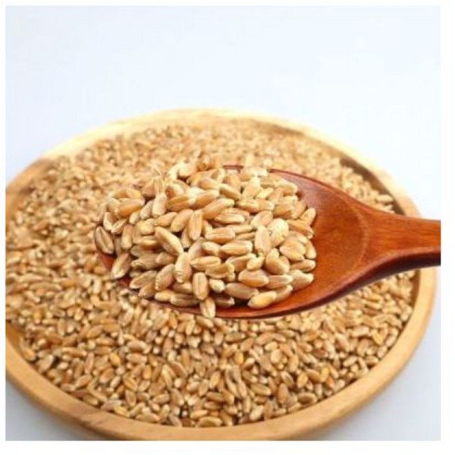 파로쌀 파로 2kgx 고대곡물 잡곡 슈퍼푸드 2025년산 터키, 파로쌀 파로 2kgx 고대곡물 잡곡 슈퍼푸드 2025년, 2kg, 1