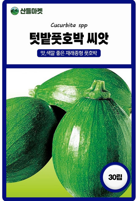 아시아종묘 텃밭풋호박 씨앗 30립 재래종 풋호박씨 종자, 2개